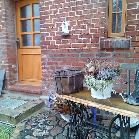 Ferienwohnung Fuchsberge Letschin المظهر الخارجي الصورة