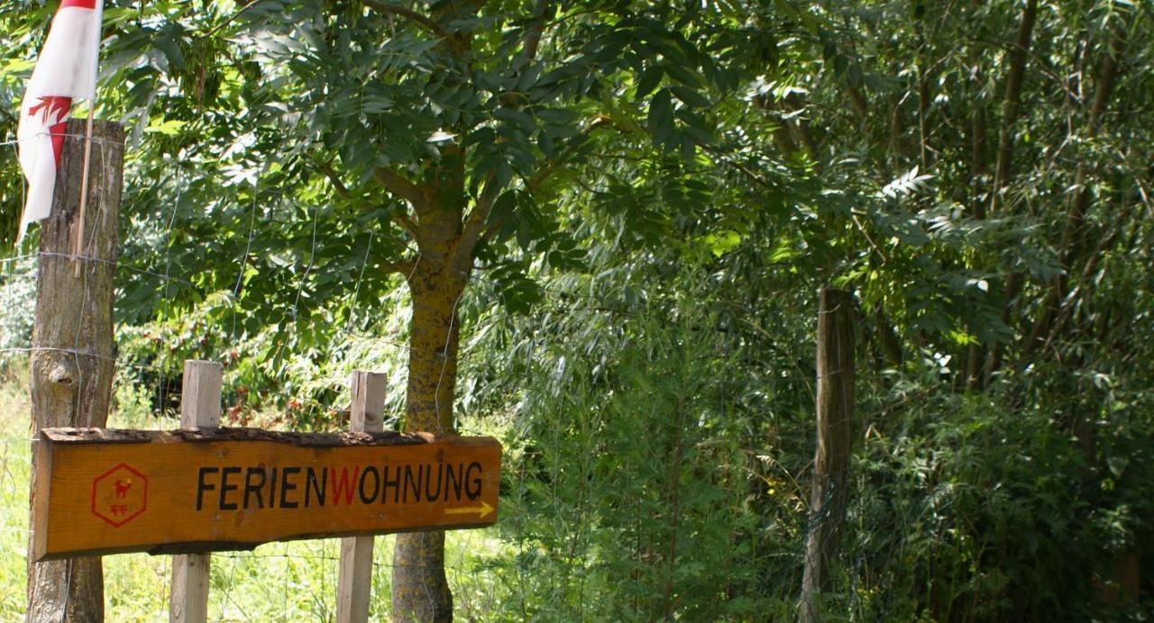 Ferienwohnung Fuchsberge Letschin المظهر الخارجي الصورة